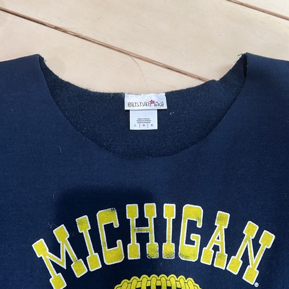 Michigan state football fringe crop navy sweater - Picture 3 of 8